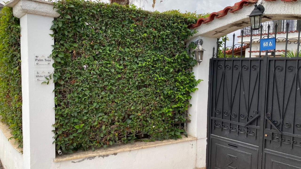 Patras Palm Tree Apartman Kültér fotó