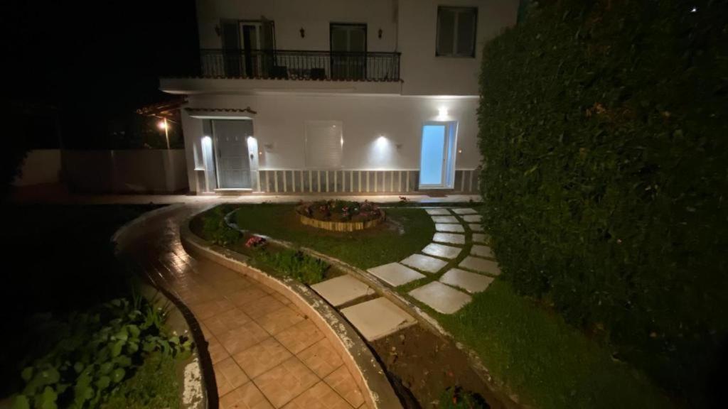 Patras Palm Tree Apartman Kültér fotó