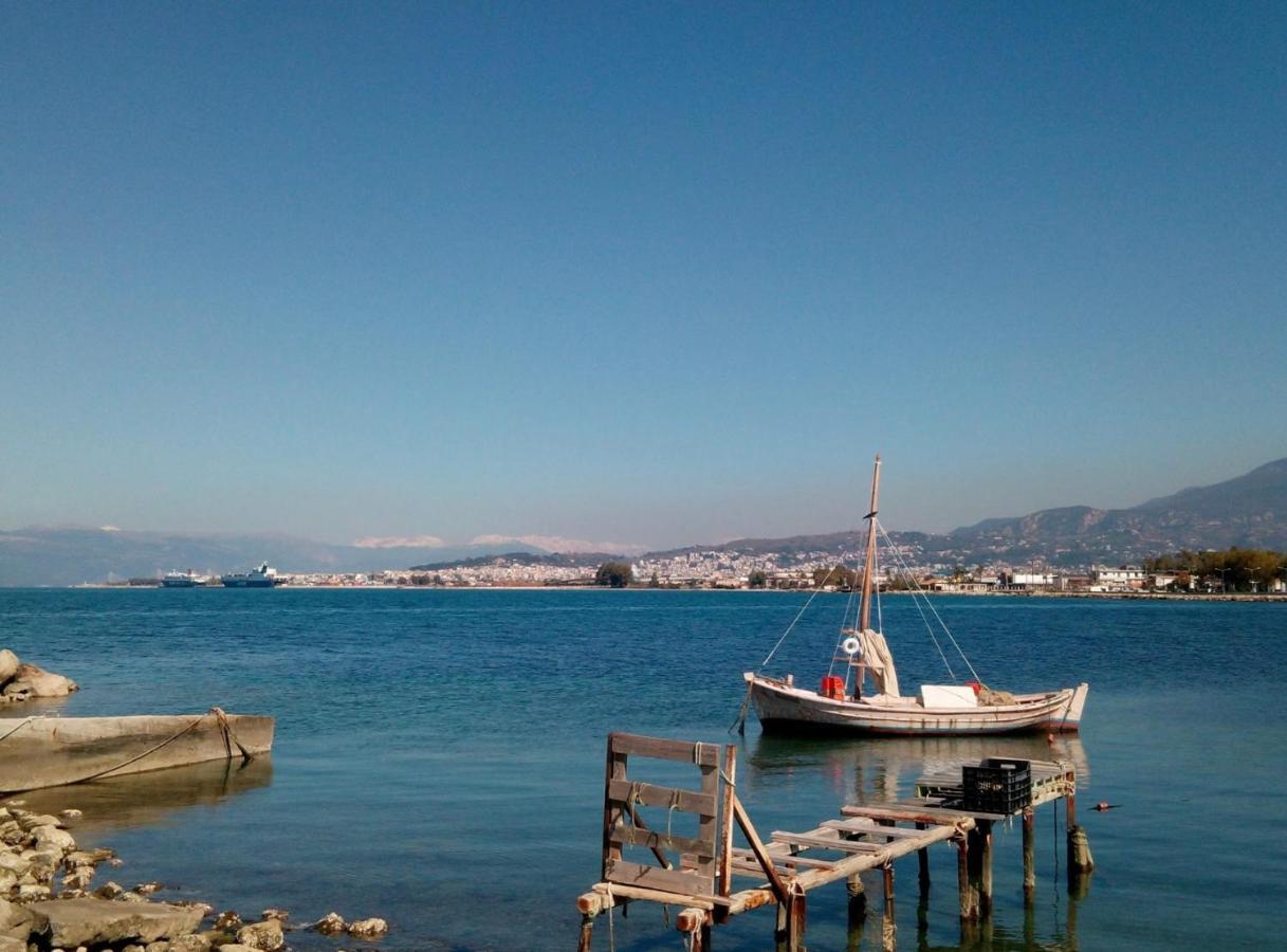 Patras Palm Tree Apartman Kültér fotó