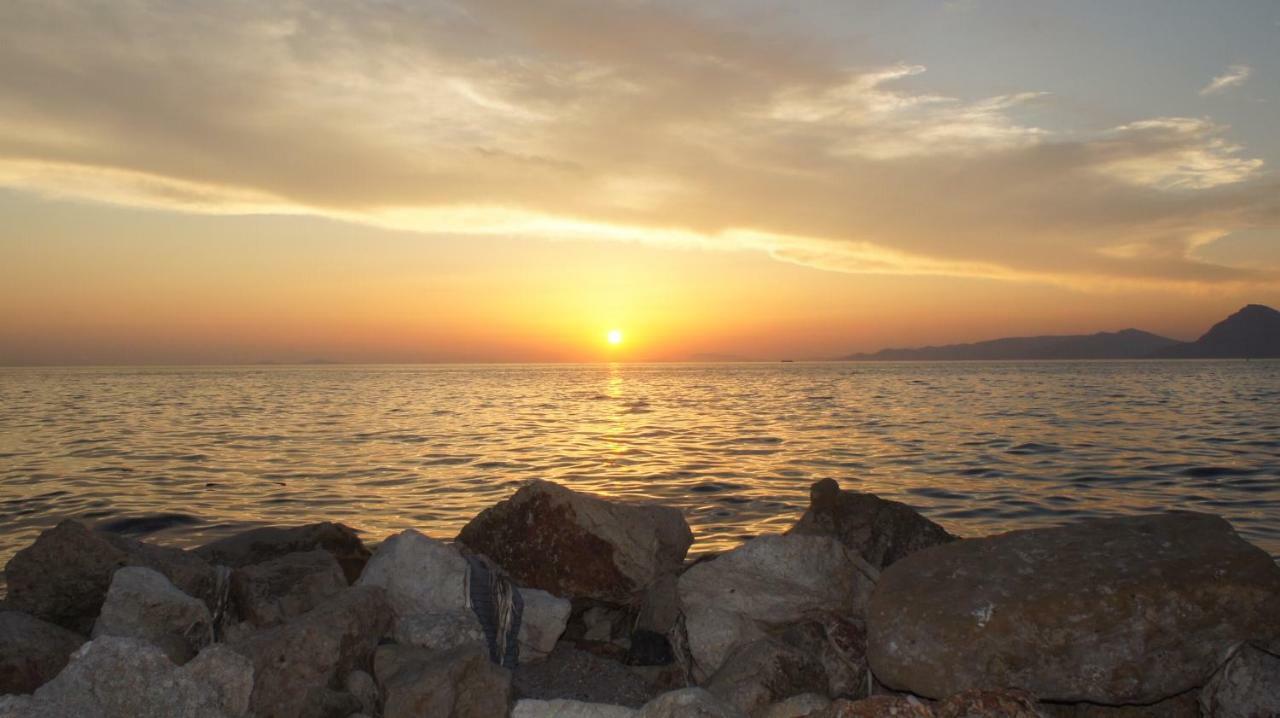 Patras Palm Tree Apartman Kültér fotó